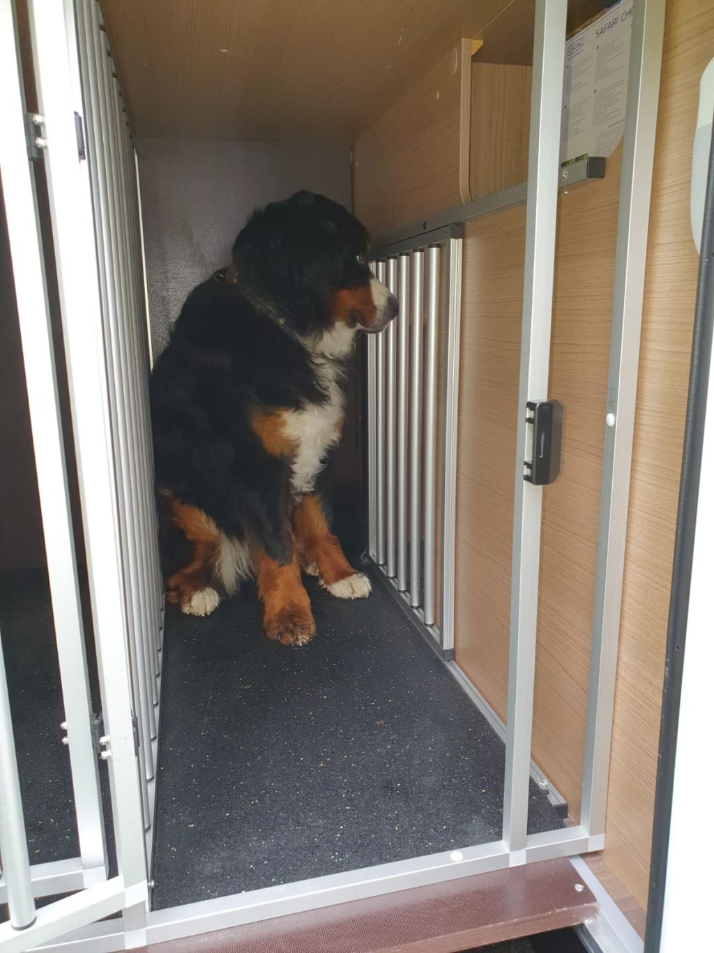 Ausstattung für den Hund im Waumobil